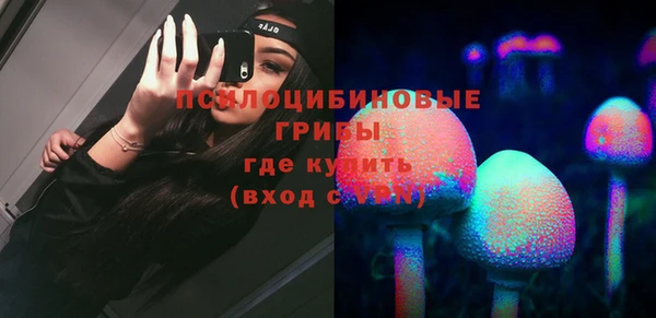 ПСИЛОЦИБИНОВЫЕ ГРИБЫ Алексин