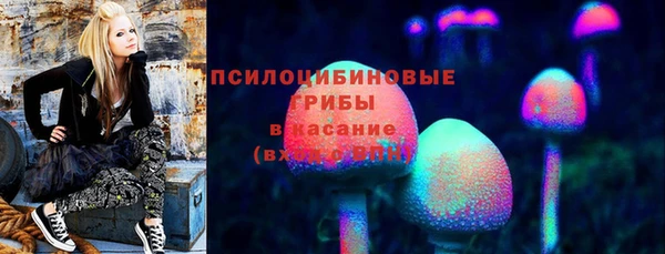 ПСИЛОЦИБИНОВЫЕ ГРИБЫ Алексин
